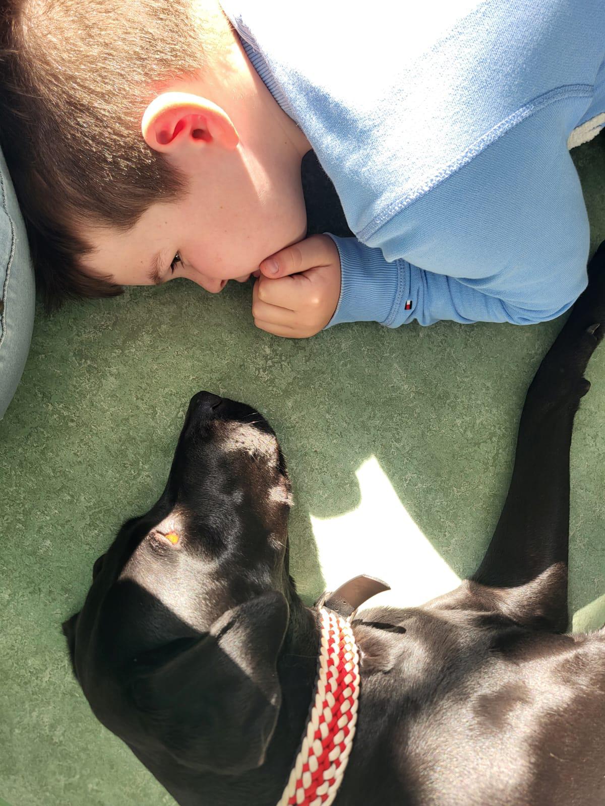 Therapiehund2