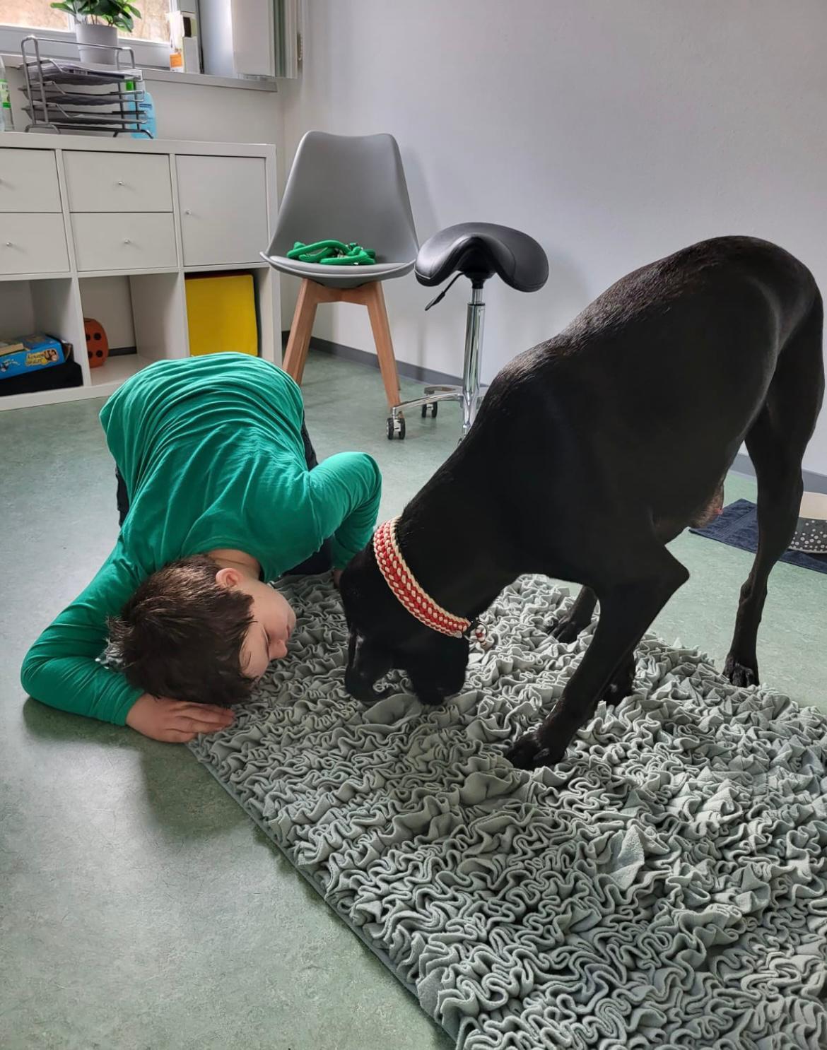 Therapiehund5