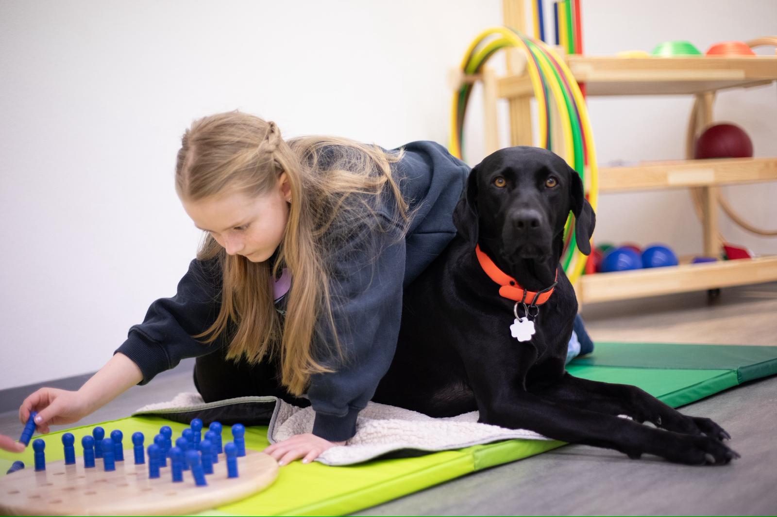 Therapiehund4