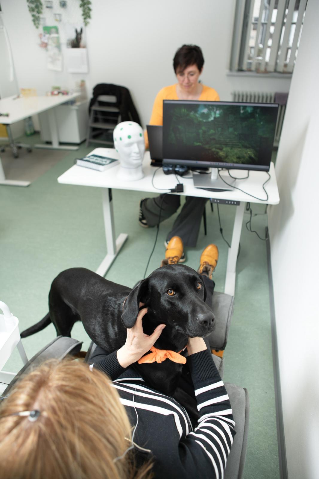 Therapiehund6